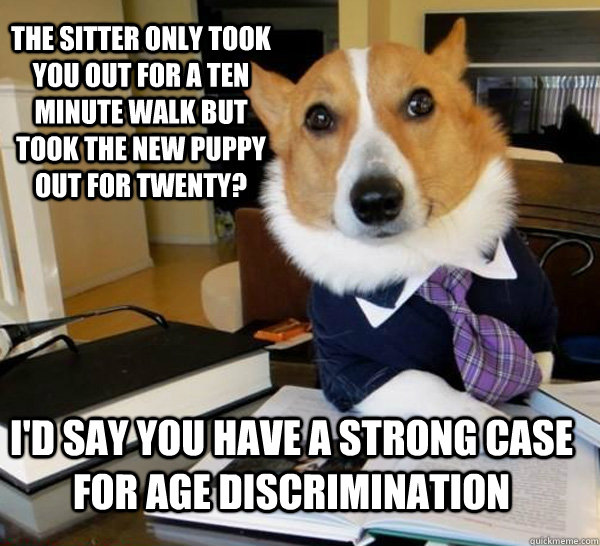 the sitter only took you out for a ten minute walk but took - Lawyer Dog