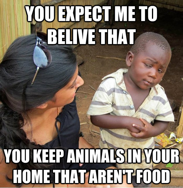 you expect me to belive that you keep animals in your home t - SKEPTICAL THIRD WORLD KID