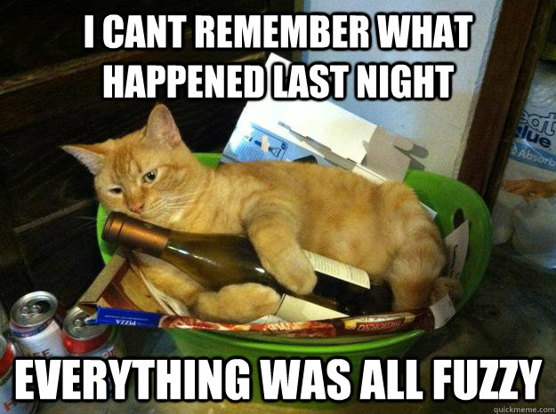 can t remember what i did last night can t remember what i did last night