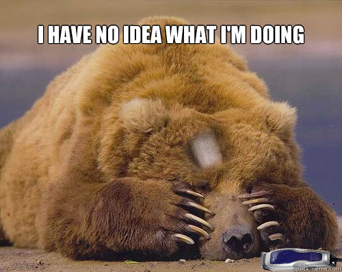 i have no idea what im doing -