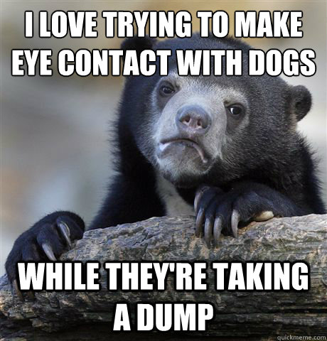 i love trying to make eye contact with dogs while theyre ta - Confession Bear