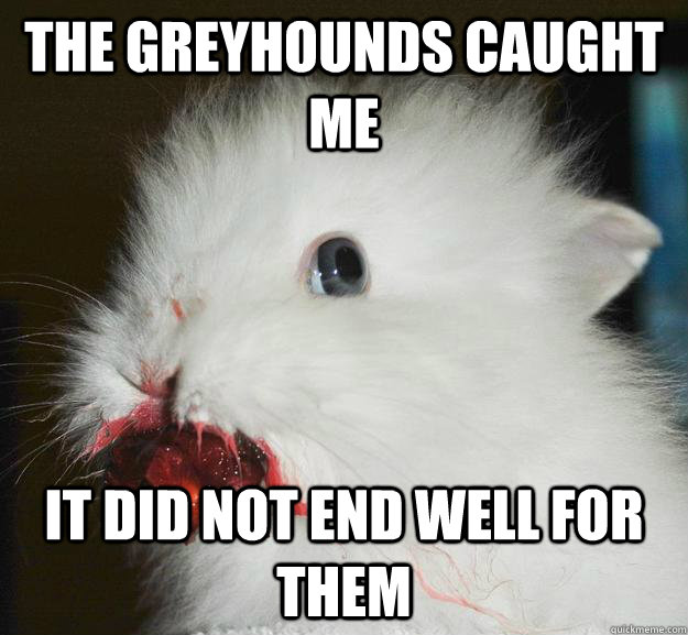 the greyhounds caught me it did not end well for them -
