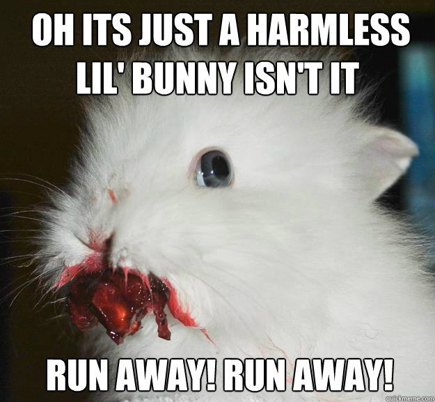 oh its just a harmless lil bunny isnt it run away run a -
