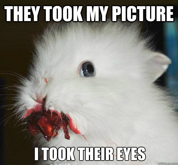 they took my picture i took their eyes -