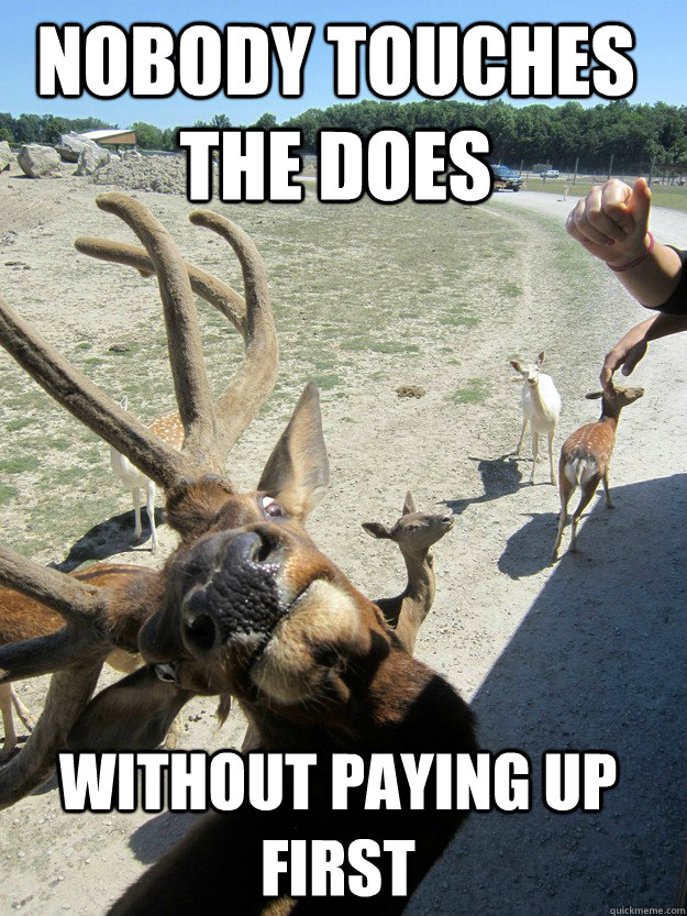 nobody touches the does without paying up first -