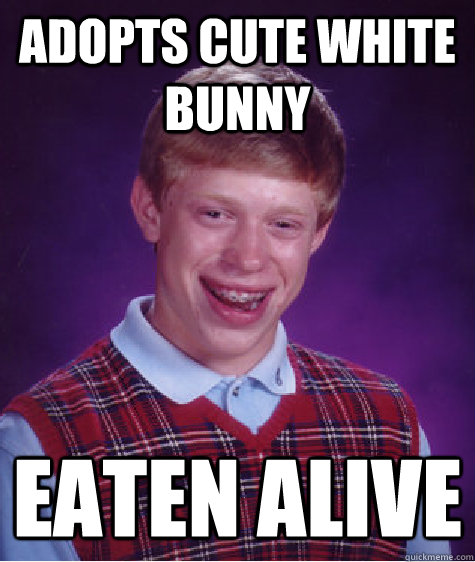 adopts cute white bunny eaten alive - Bad Luck Brian