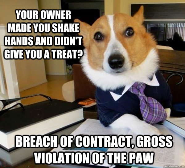 your owner made you shake hands and didnt give you a treat - Lawyer Dog