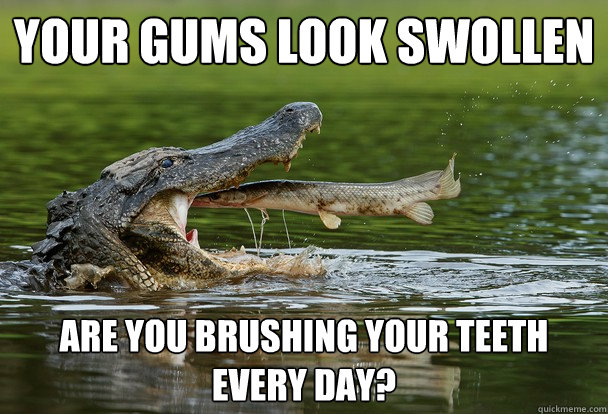 your gums look swollen are you brushing your teeth every day - Dentist Fish