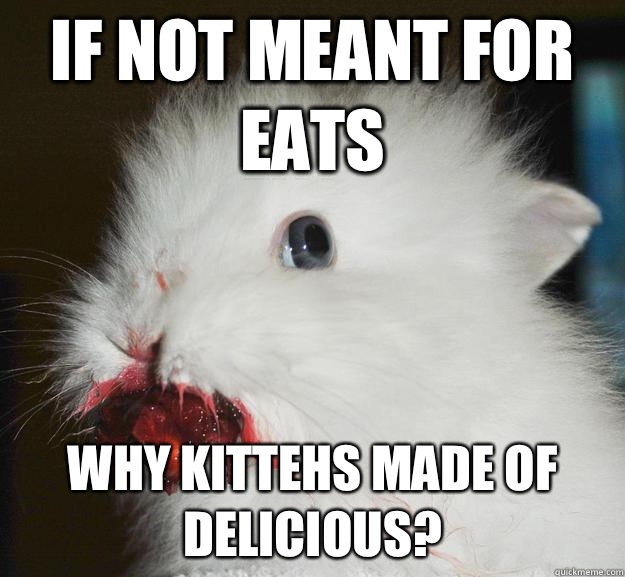 If not meant for eats Why kittehs made of delicious - Murder Bunny
