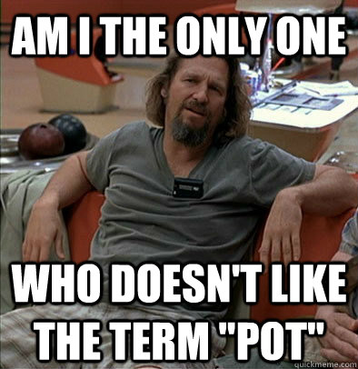 am i the only one who doesnt like the term pot - The Dude