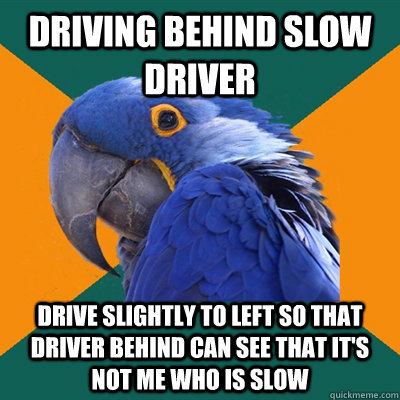 driving behind slow driver drive slightly to left so that dr - Paranoid Parrot