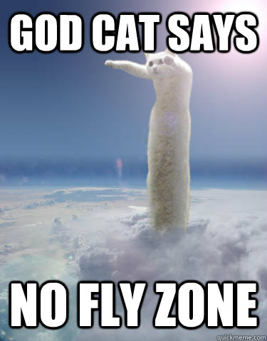 god cat says no fly zone - godcat