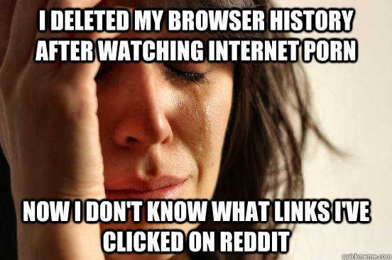 i deleted my browser history after watching internet porn no - First World Problems