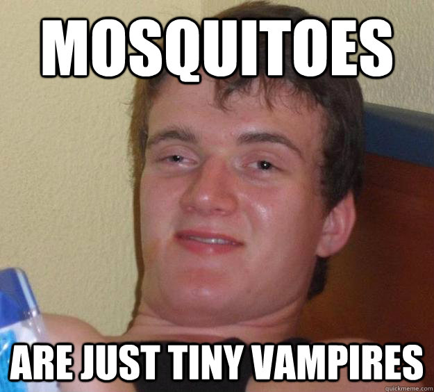 mosquitoes are just tiny vampires - 10 Guy
