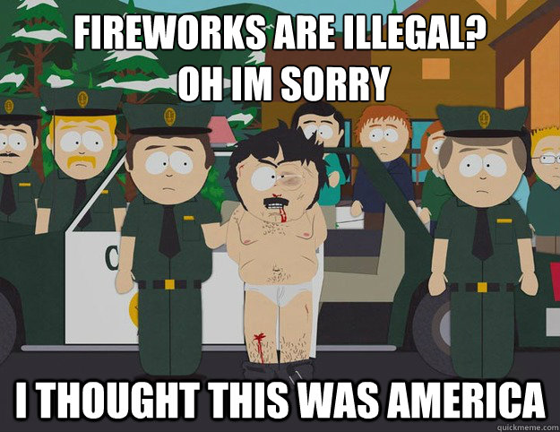 fireworks are illegal oh im sorry i thought this was ameri - Oh Im Sorry