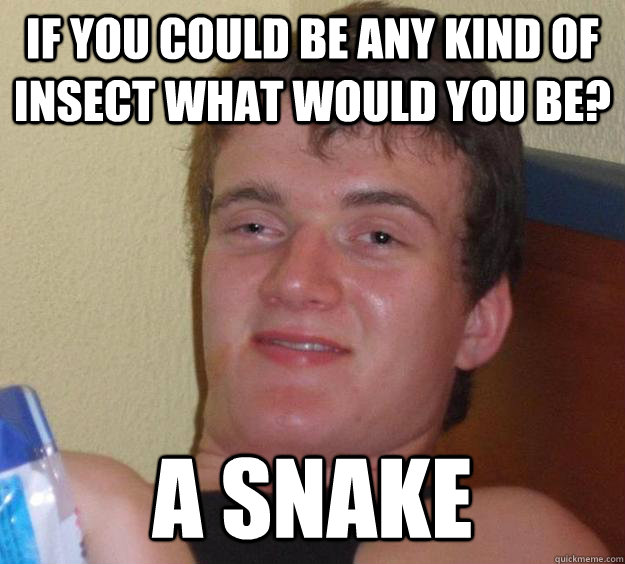 if you could be any kind of insect what would you be a snak - 10 Guy