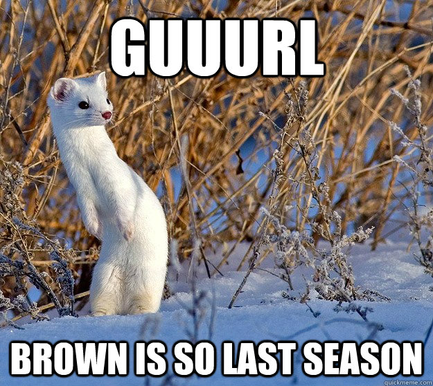guuurl brown is so last season -