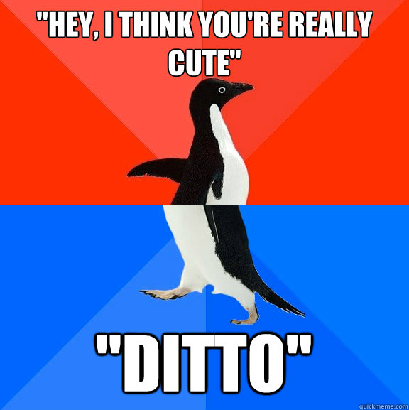 hey i think youre really cute ditto - Socially Awesome Awkward Penguin