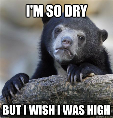 im so dry but i wish i was high - Confession Bear
