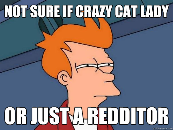 not sure if crazy cat lady or just a redditor - Futurama Fry