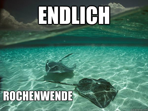endlich rochenwende - scumbag stingray