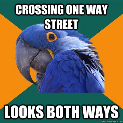 crossing one way street looks both ways - Paranoid Parrot