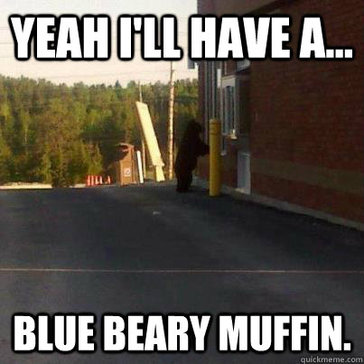 yeah ill have a blue beary muffin - Tim Hortons Bear