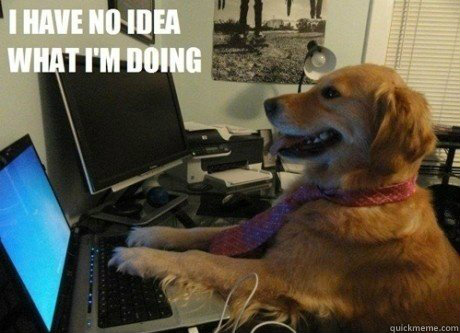 60 - I have no idea what Im doing dog