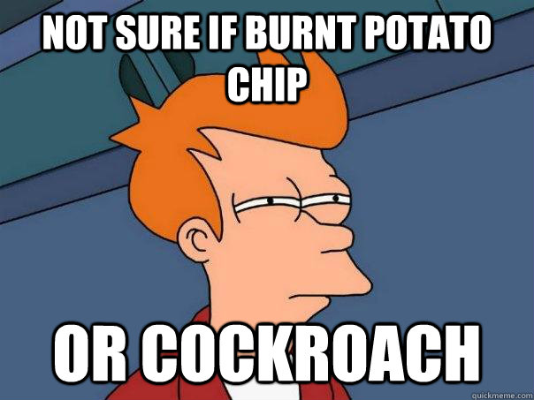not sure if burnt potato chip or cockroach - Futurama Fry
