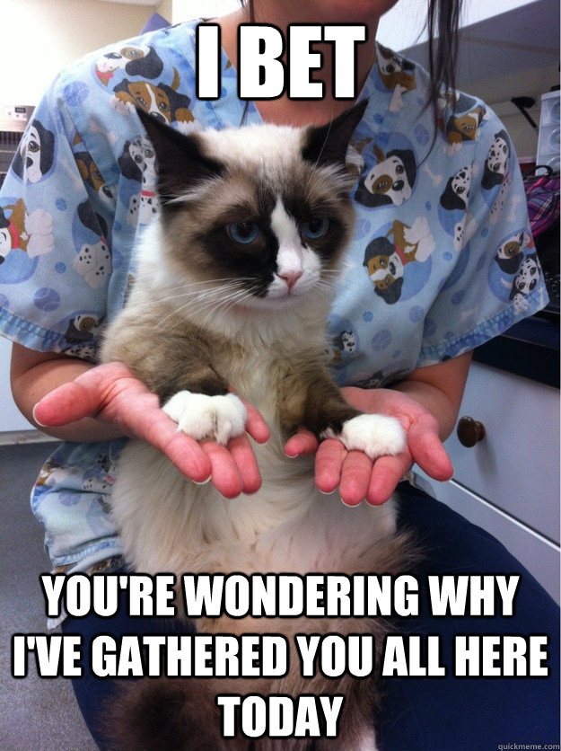 i bet youre wondering why ive gathered you all here today - mastermind cat