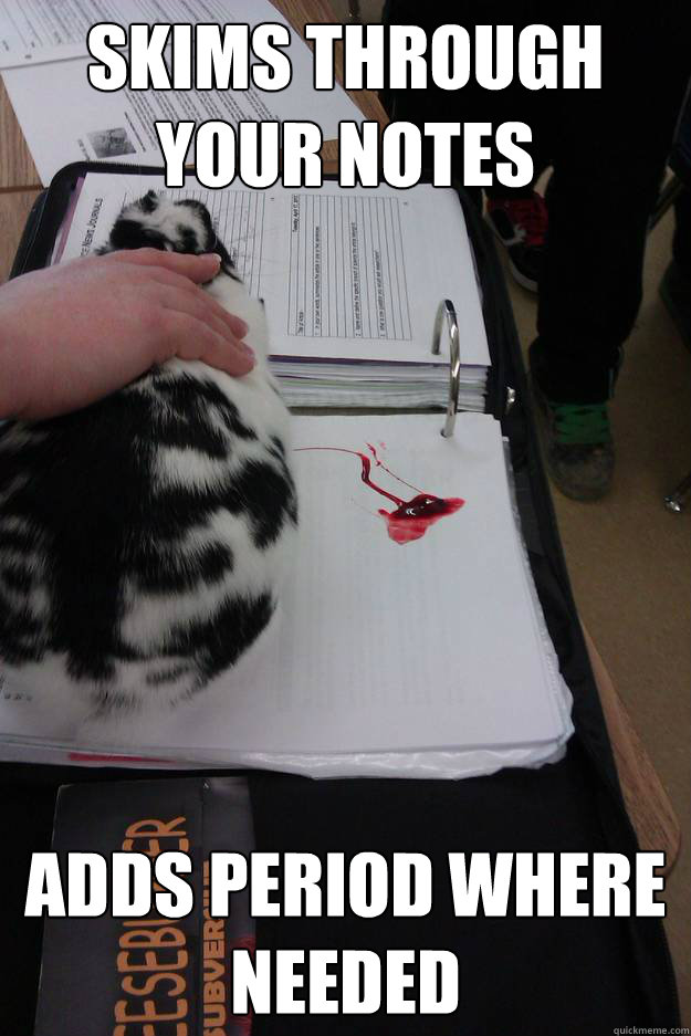 skims through your notes adds period where needed - Good Girl Menstruating Rabbit