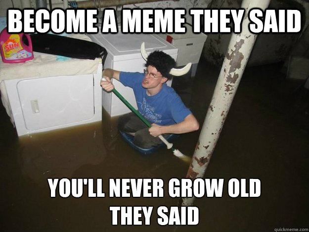 become a meme they said youll never grow old they said - Laundry viking