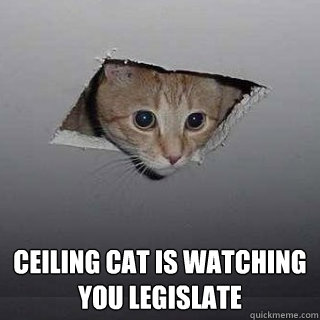 ceiling cat is watching you legislate - Ceiling Cat