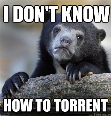 i dont know how to torrent - Confession Bear