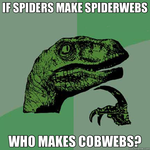 IF SPIDERS MAKE SPIDERWEBS WHO MAKES COBWEBS? - Philosoraptor