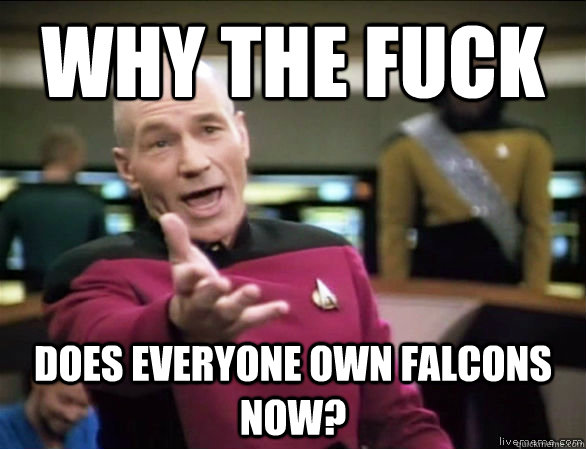 why the fuck does everyone own falcons now - Annoyed Picard HD
