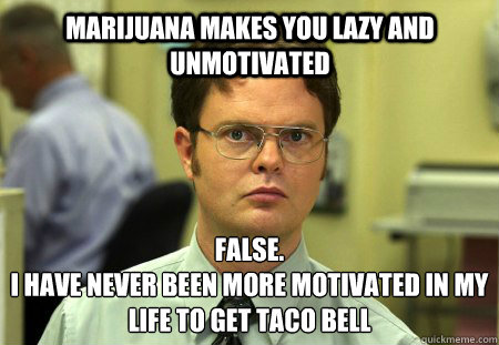 marijuana makes you lazy and unmotivated false i have never - Schrute