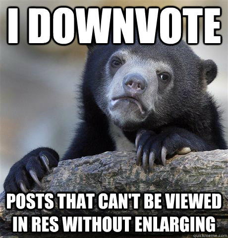 Confession Bear
