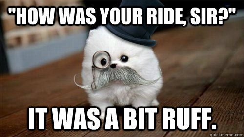 how was your ride sir it was a bit ruff - Sir Geoffrey Puppington