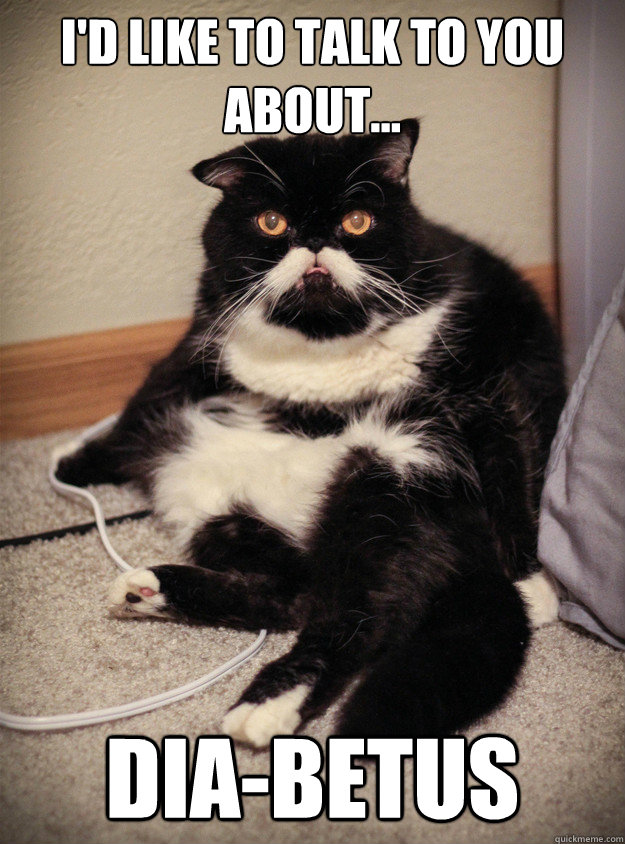 id like to talk to you about diabetus - Wilford Cat
