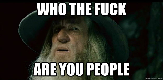 who the fuck are you people - I have no memory Gandalf