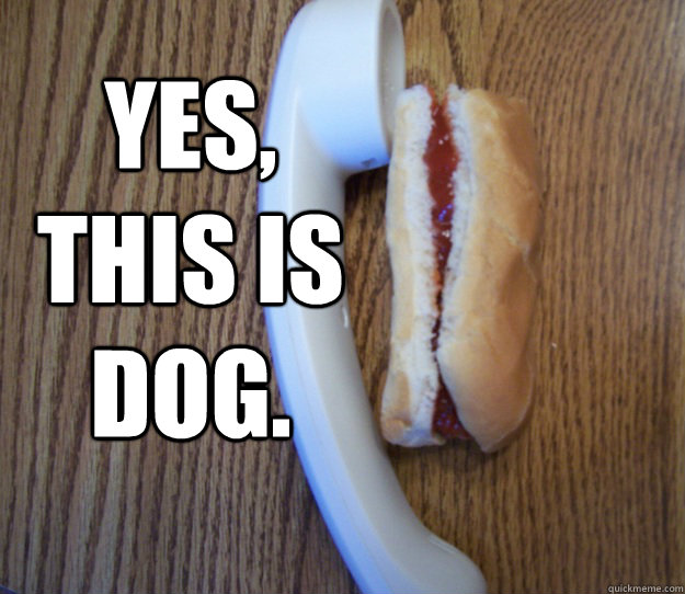 yes this is dog -