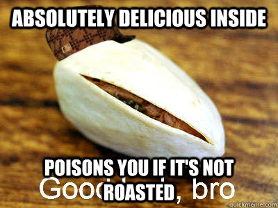 absolutely delicious inside poisons you if its not roasted - Scumbag Pistachio