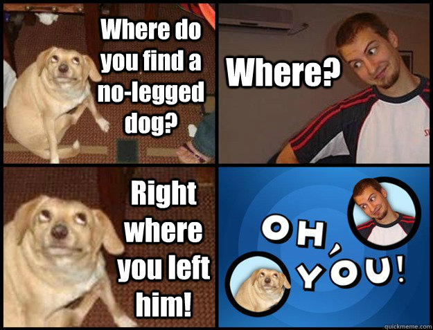 where do you find a nolegged dog where right where you le - Oh you!
