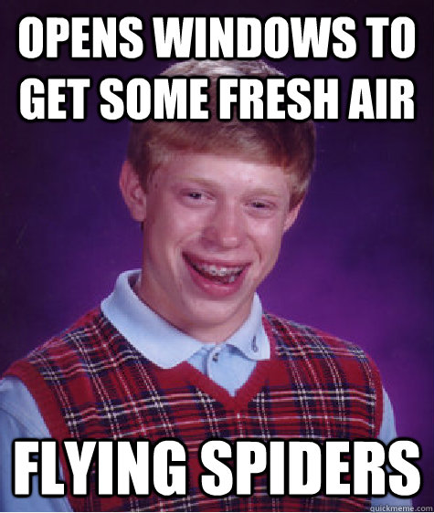 opens windows to get some fresh air flying spiders - Bad Luck Brian