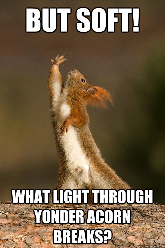 but soft what light through yonder acorn breaks - Shakespeare Squirrel