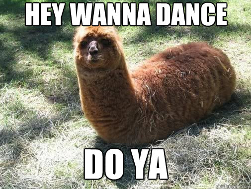 hey wanna dance do ya - Alpacapillar