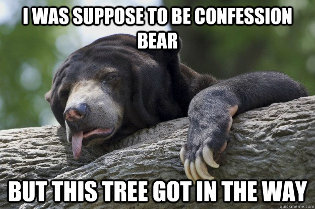 i was suppose to be confession bear but this tree got in the - Excuses Bear