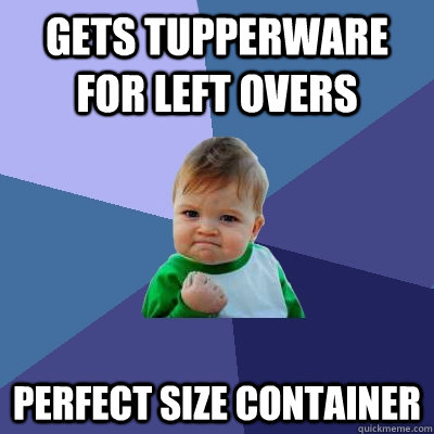 gets tupperware for left overs perfect size container - Success Kid