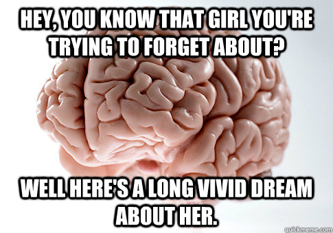 hey you know that girl youre trying to forget about well - Scumbag Brain